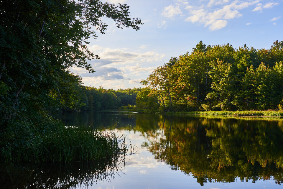 Ein stiller See spiegelt bewaldete Ufer im Morgenlicht